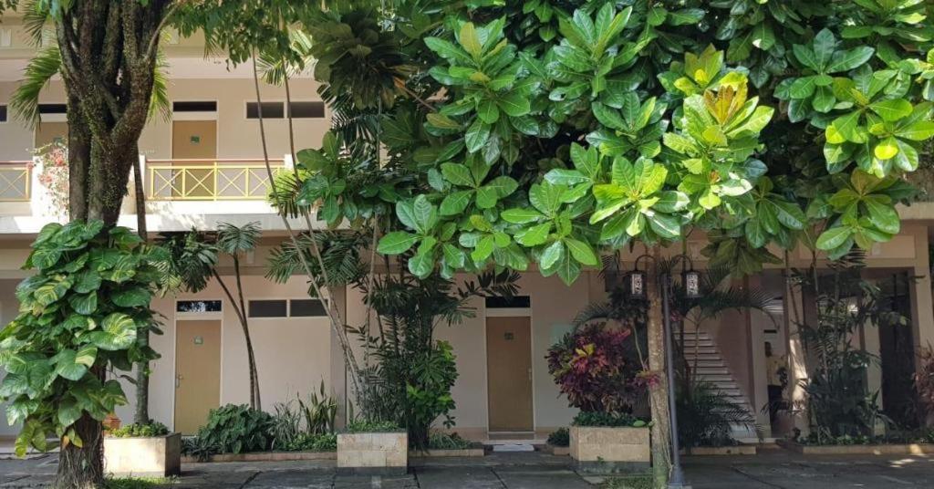Hotel Sulawesi Jembel エクステリア 写真