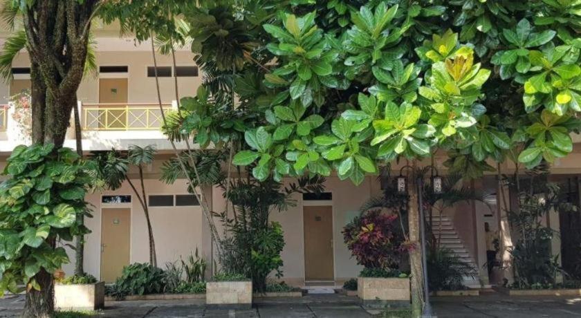 Hotel Sulawesi Jembel エクステリア 写真